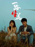 一路“生”花海报