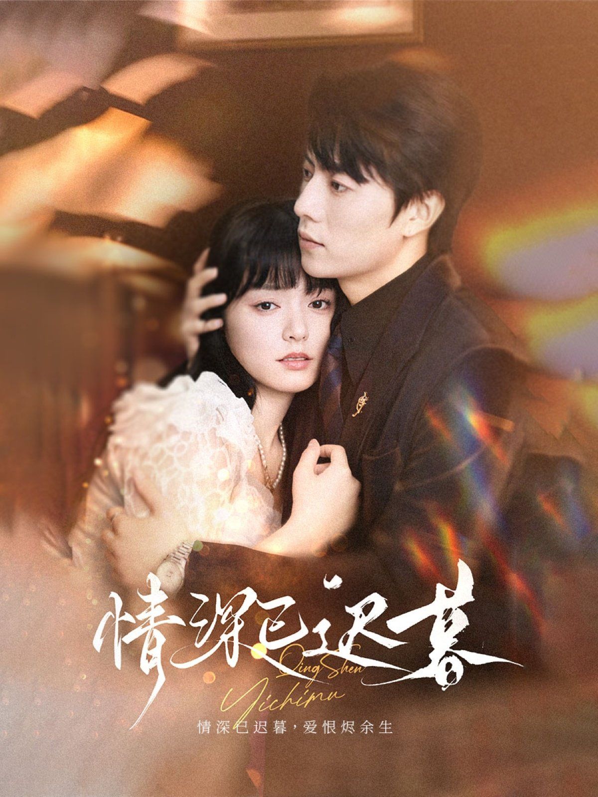 情深已迟暮海报