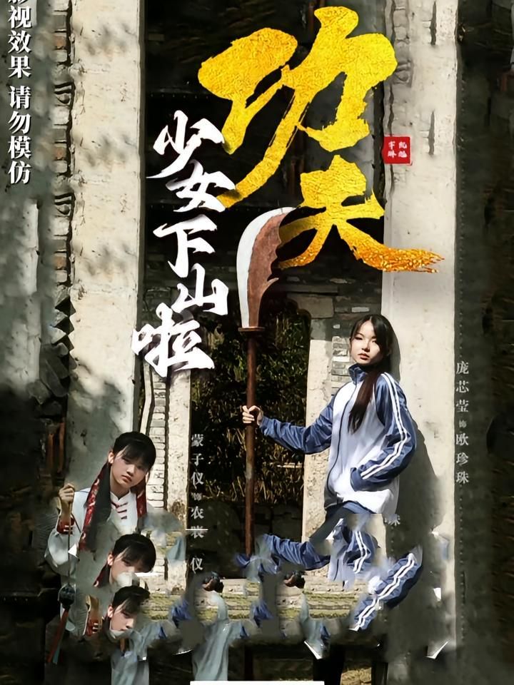 功夫少女下山啦海报
