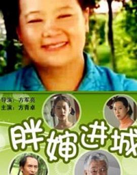 胖婶进城海报