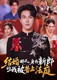 结婚那天，身为新郎的我被告上法庭海报