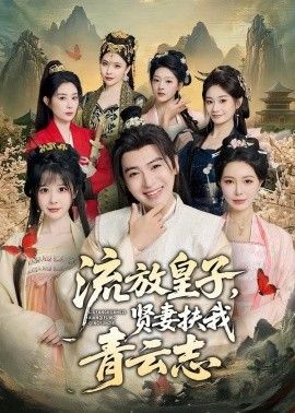 流放皇子，贤妻扶我青云志海报