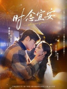 时念宜安海报