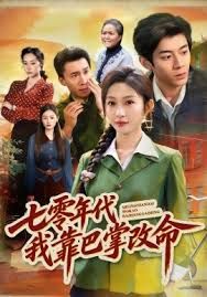 七零年代我靠巴掌改命海报