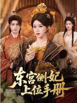 东宫侧妃上位手册海报