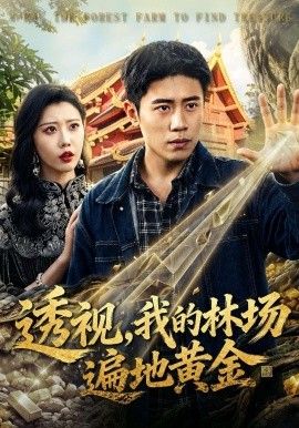 透视，我的林场遍地黄金海报