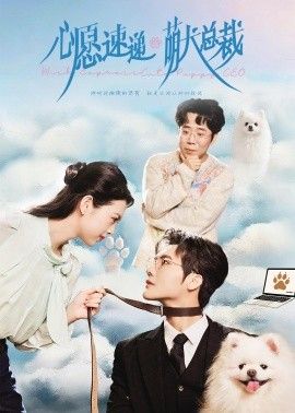 心愿速递之萌犬总裁海报