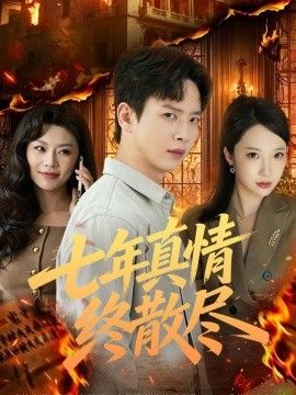 七年真情终散尽海报