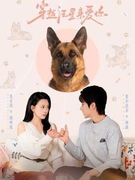 穿越汪星来爱你海报
