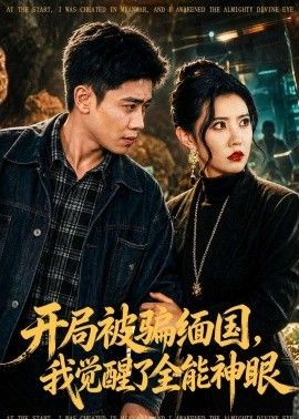 开局被骗缅国，我觉醒了全能神眼海报