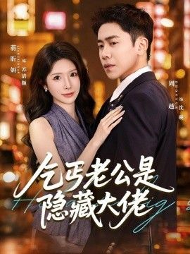 乞丐老公是隐藏大佬海报