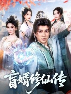 盲婿修仙传海报