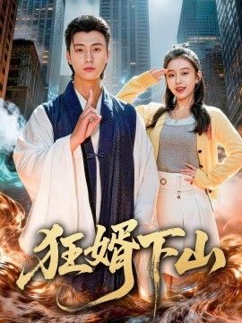 狂婿下山海报
