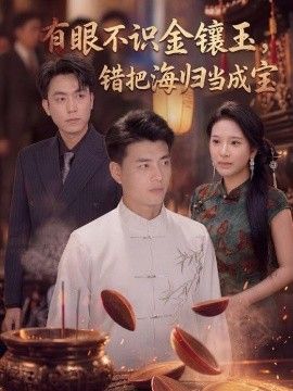 有眼不识金镶玉错把海归当成宝海报
