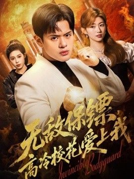 无敌保镖，高冷校花爱上我海报