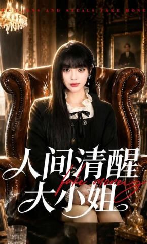 人间清醒大小姐海报