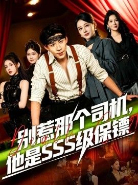 别惹那个司机，他是SSS级保镖海报