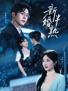 新婚半熟海报