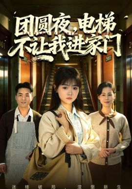 团圆夜，电梯不让我进家门海报