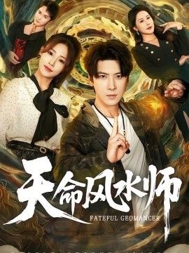 天命风水师海报