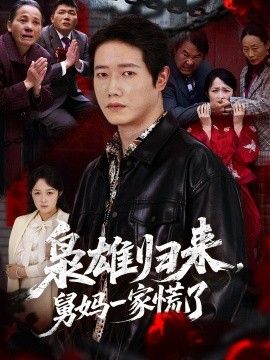 枭雄归来舅妈一家慌了海报