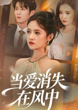 当爱消失在风中海报