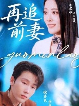 再追前妻海报