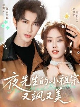 夜先生的小祖宗又飒又美海报