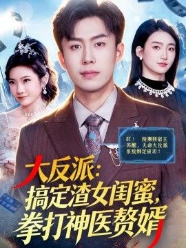大反派：搞定渣女闺蜜，拳打神医赘婿海报