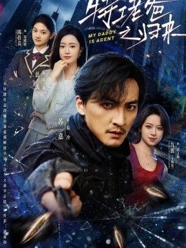 特工老爸之归来海报