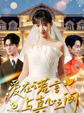 爱在谎言与真心之间海报