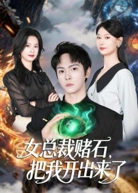 女总裁赌石，把我开出来了海报