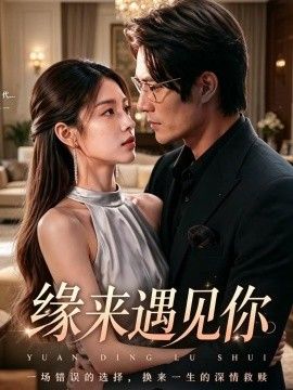 缘来遇见你海报