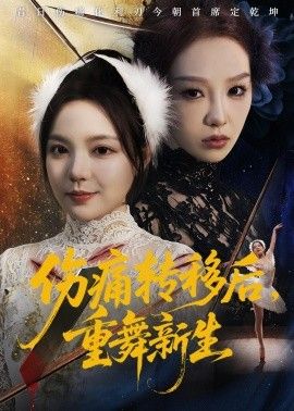 伤痛转移后，重舞新生海报