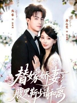 替嫁娇妻：腹黑靳少请和离海报