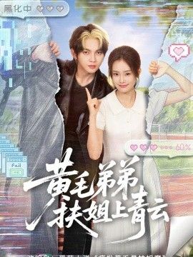 黄毛弟弟扶姐上青云海报