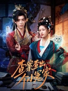 查案查出个小冤家海报