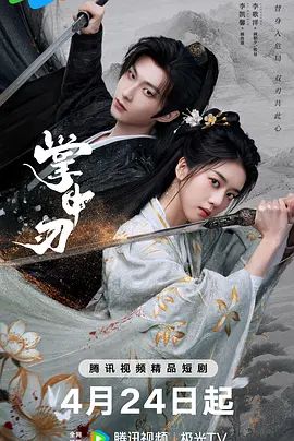 掌中刃海报