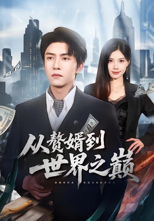 赘婿到世界之巅海报