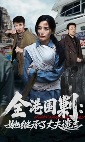 全港围剿：她继承了丈夫遗志海报