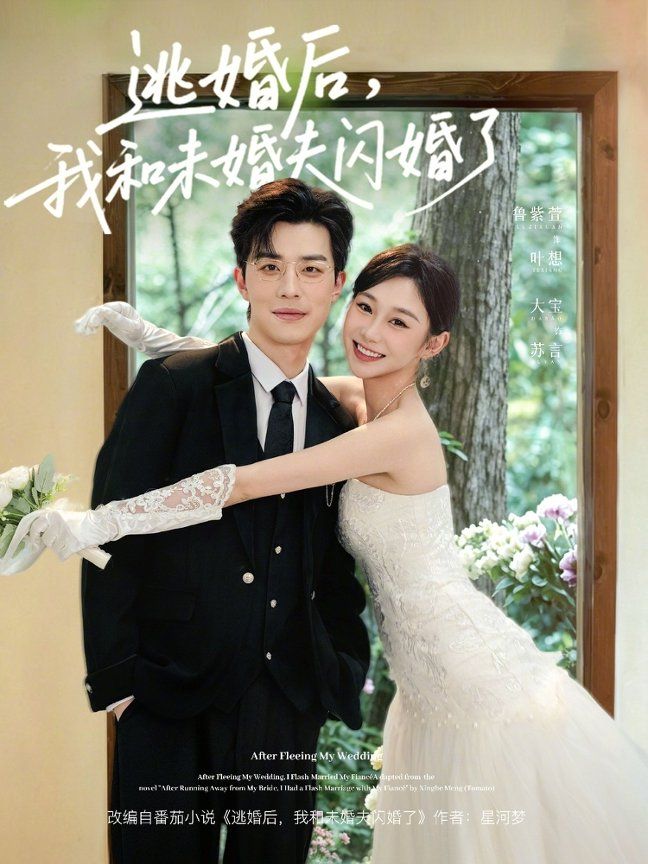 逃婚后，我和未婚夫闪婚了海报