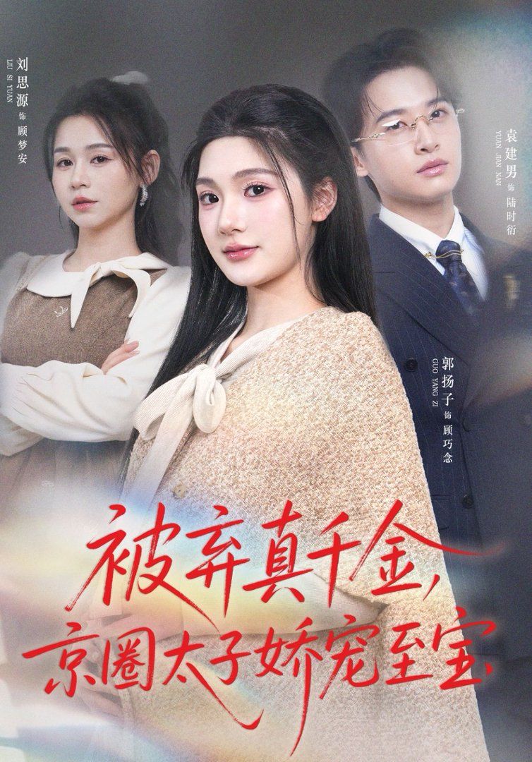 被弃真千金，京圈太子娇宠至宝海报