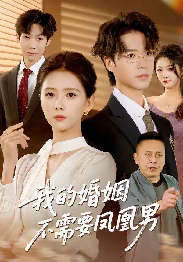 我的婚姻不需要凤凰男海报