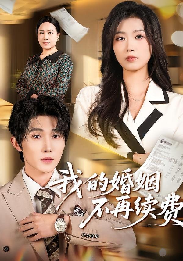 我的婚姻不再续费海报