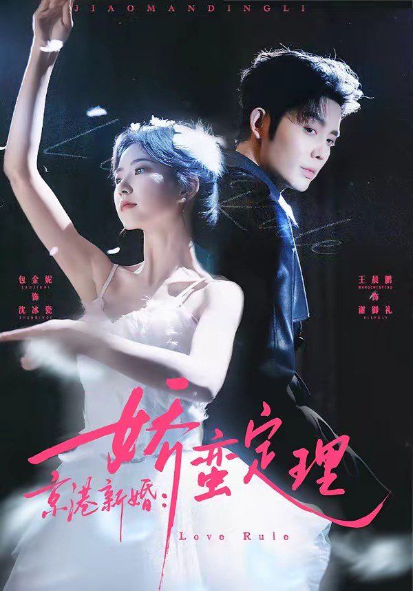 京港新婚：娇蛮定理海报