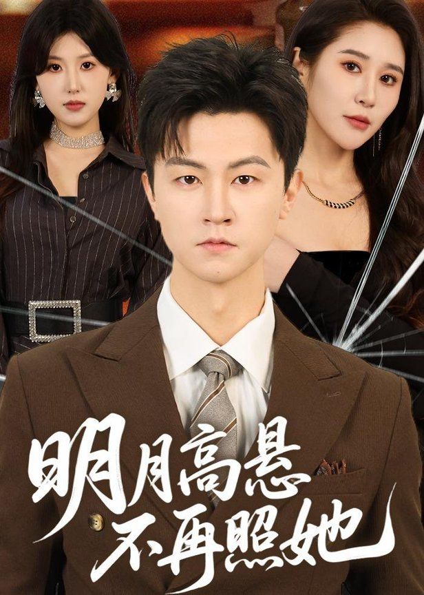 明月高悬不再照她海报
