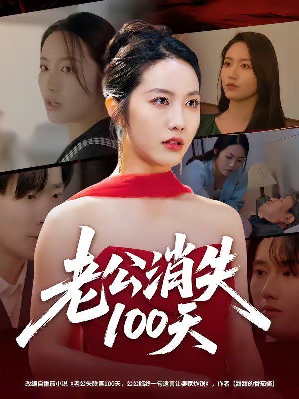 老公消失100天海报