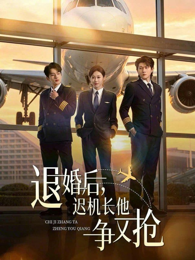 退婚后，迟机长他争又抢海报