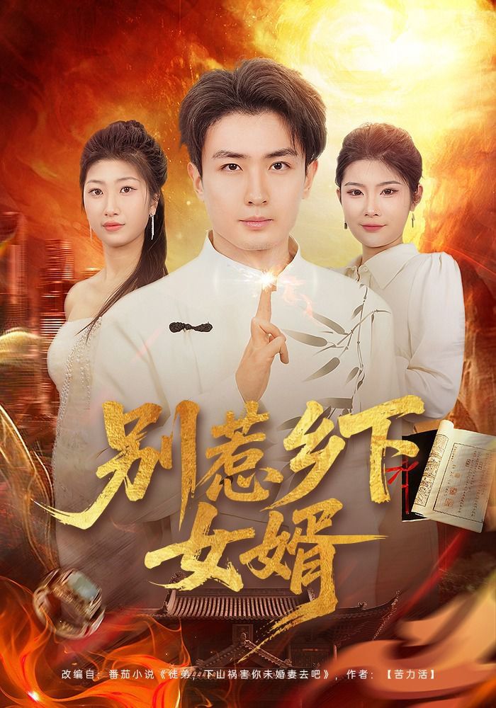 别惹乡下女婿海报