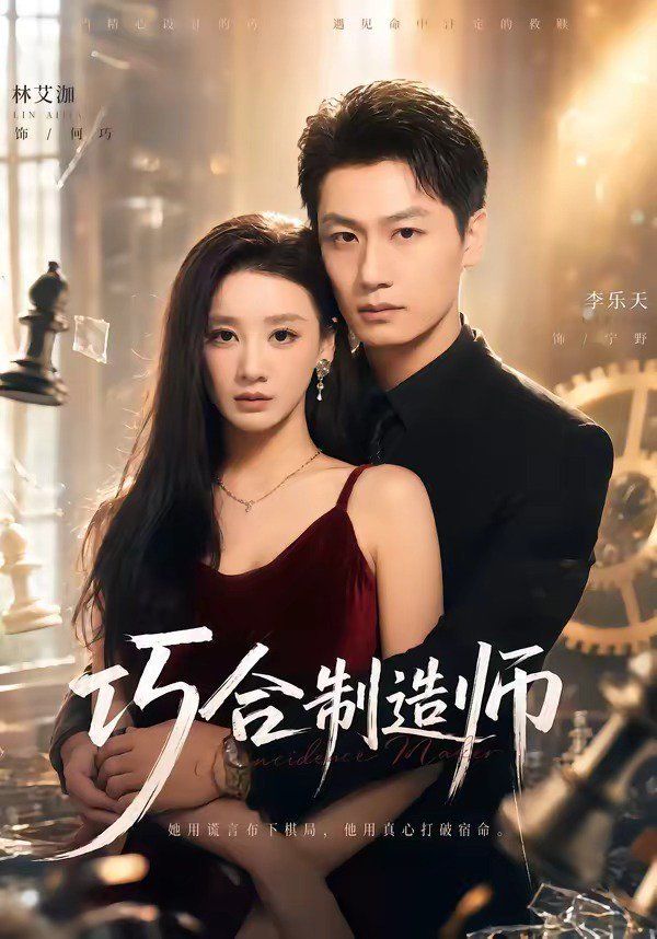 巧合制造师海报